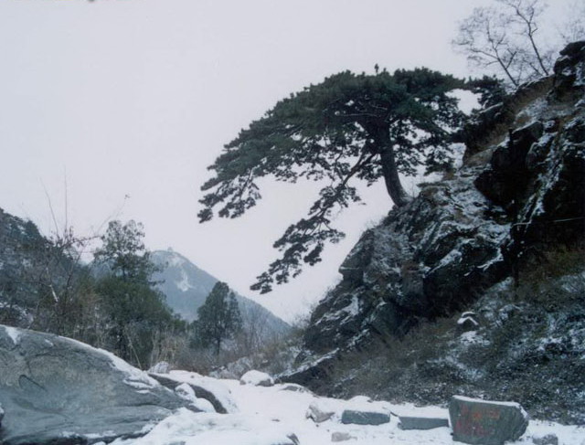 Mountain Taishan11